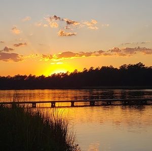 Meet your Posher, Sandy